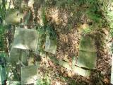 image of grave number 624009